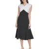 Calvin Klein Scuba Color Block A-Line | Dresses