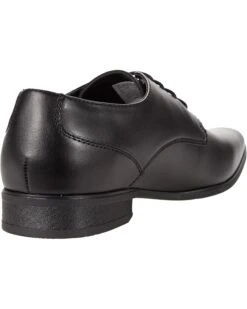 Calvin Klein Brodie 2 | Oxfords -Closet Fave Shop 71FnHi92B0L. AC SR736920